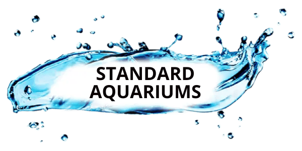 Niestandardowe wymiary 600x300 px (6)