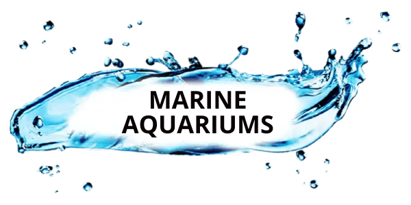 Niestandardowe wymiary 600x300 px (7)