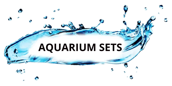 Niestandardowe wymiary 600x300 px (8)