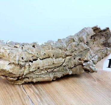 Natural terrarium decor Oak Cork Bark Perfect for Vivarium, large cork no 17